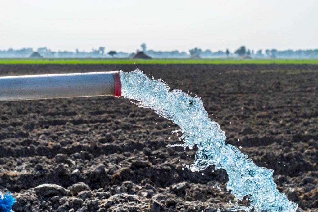 Water flowing from a pipe in a vegetable field
