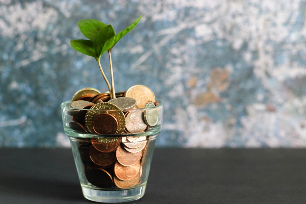 a plant in a glass filled with money 